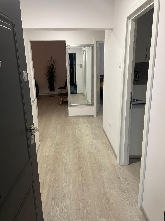 Apartament la Nicole