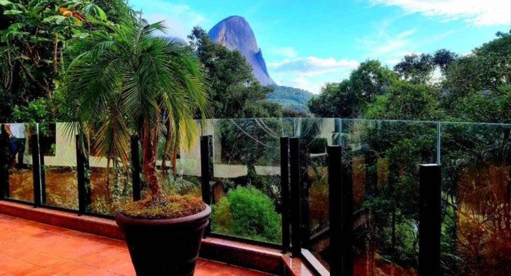 a palm tree on a balcony with a view of a mountain at Flat Hotel Pedra Azul in Pedra Azul