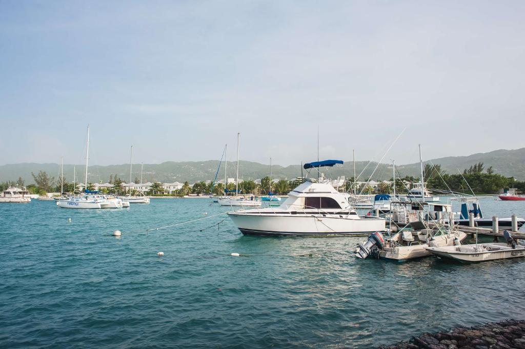 a group of boats are docked in a harbor at Seawind Beach Apartments in Montego Bay