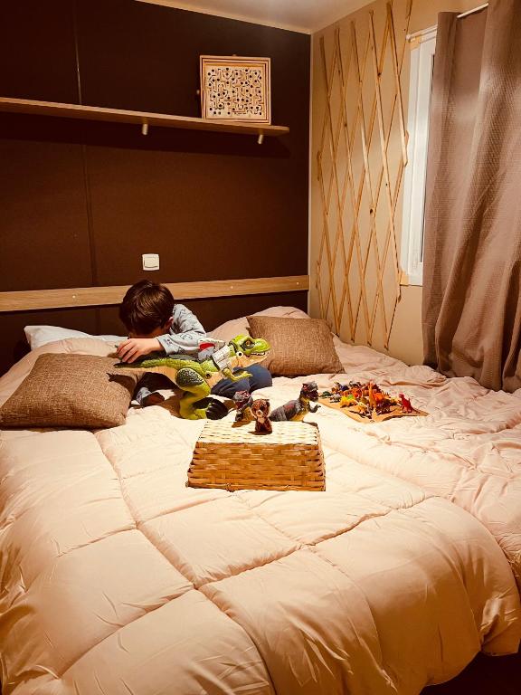 Posteľ alebo postele v izbe v ubytovaní Mobil-home COSY clim&tv-3 Chambres