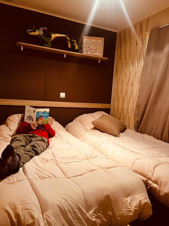 Posteľ alebo postele v izbe v ubytovaní Mobil-home COSY clim&tv-3 Chambres