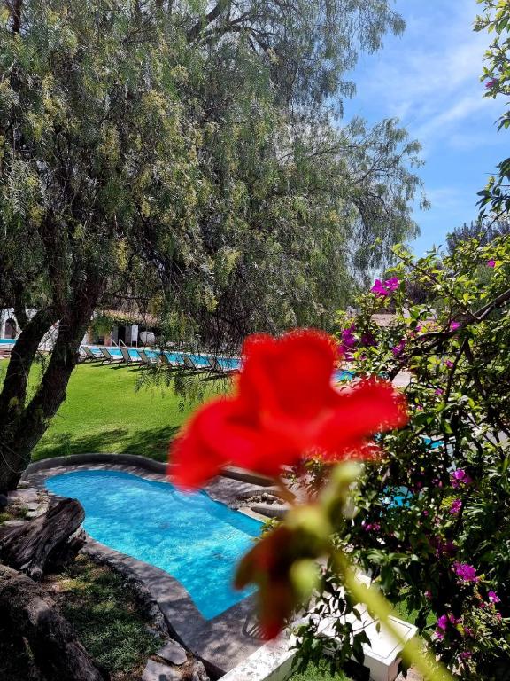 Bazén v ubytování Hotel Hacienda Taboada (Aguas Termales) nebo v jeho okolí