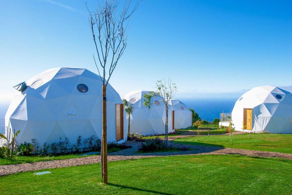 Vi Naturae Glamping - image 4