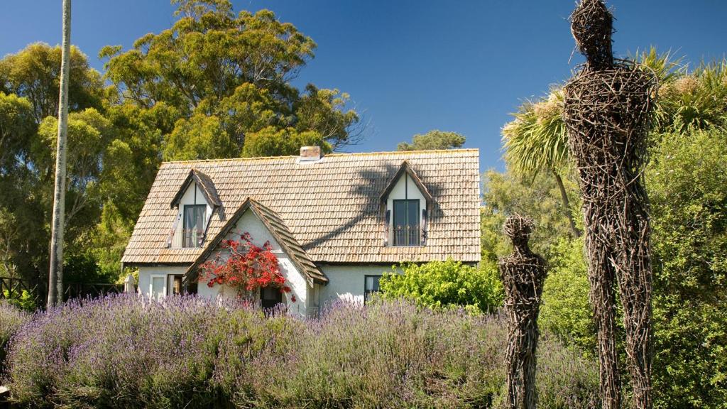 北哈夫洛克的住宿－Rush Cottage，棕榈树和鲜花的房子
