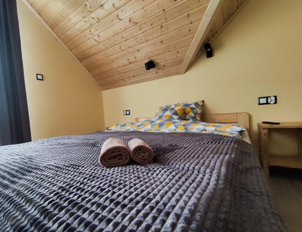 Wetlina Poza Trasą - 3