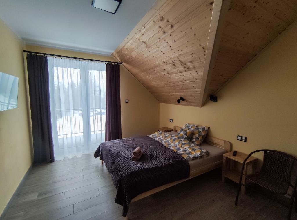 Wetlina Poza Trasą - 2