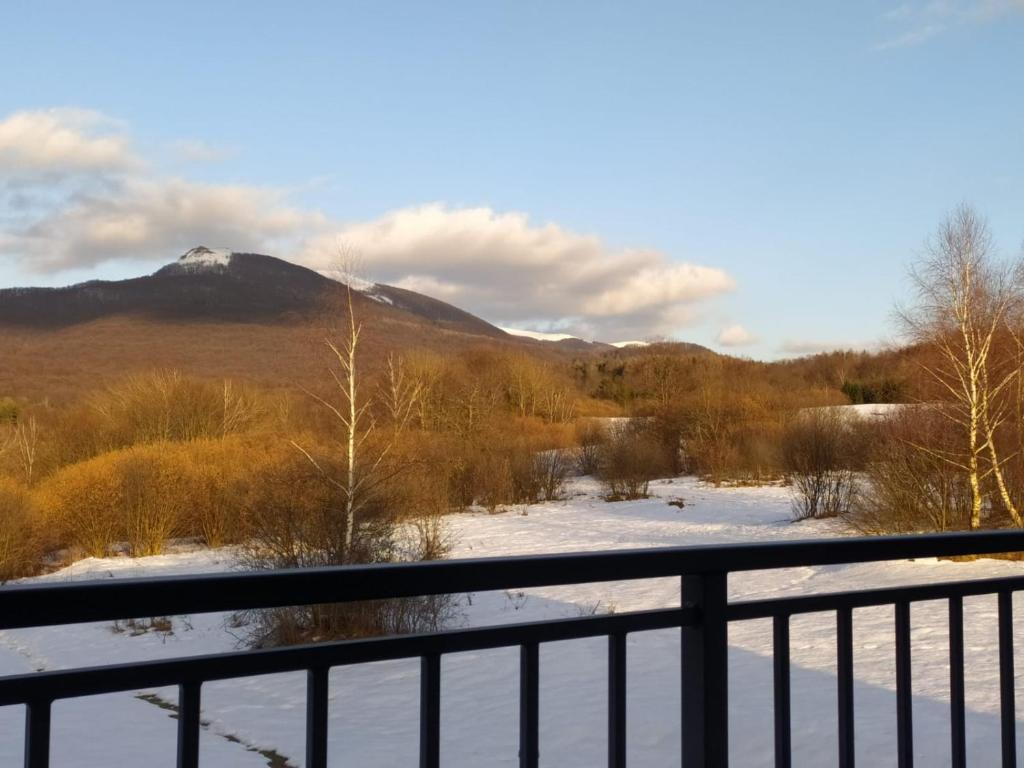 Wetlina Poza Trasą - 4