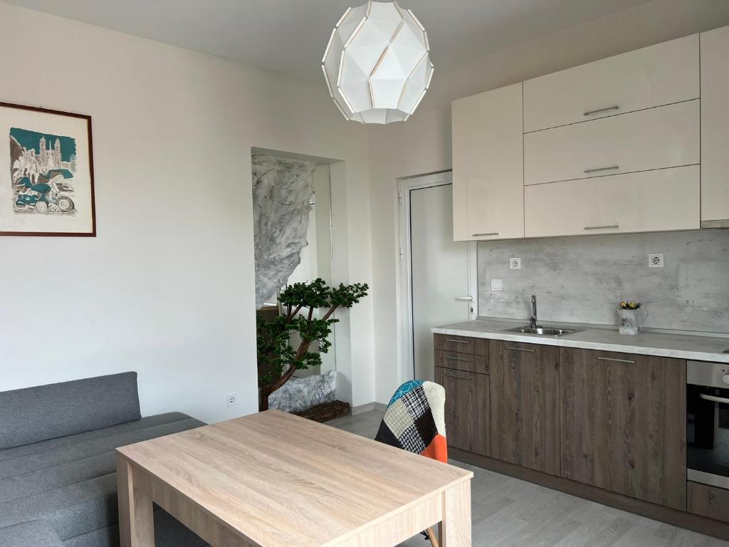 A kitchen or kitchenette at Vitosha 60