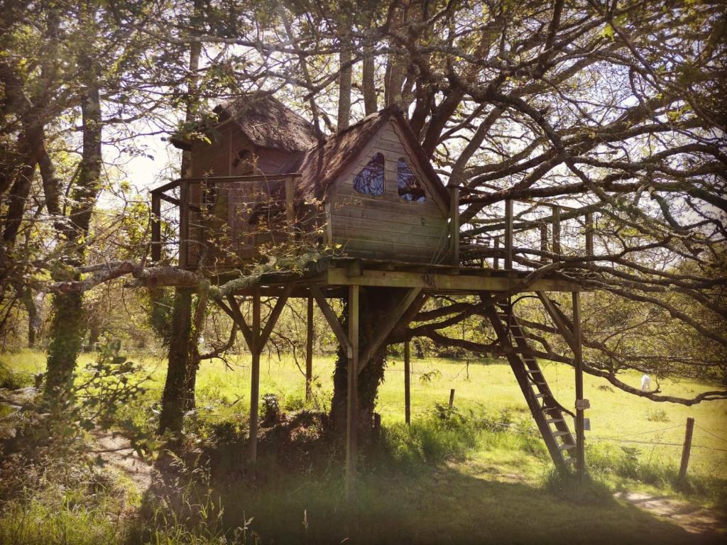 a tree house sitting on top of a tree at Dihan Evasion in Ploemel