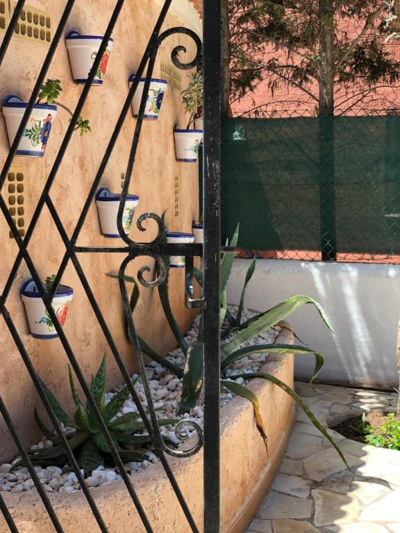Fotografie z fotogalerie ubytování Villa Casa Diego Ibiza v destinaci Santa Eularia des Riu