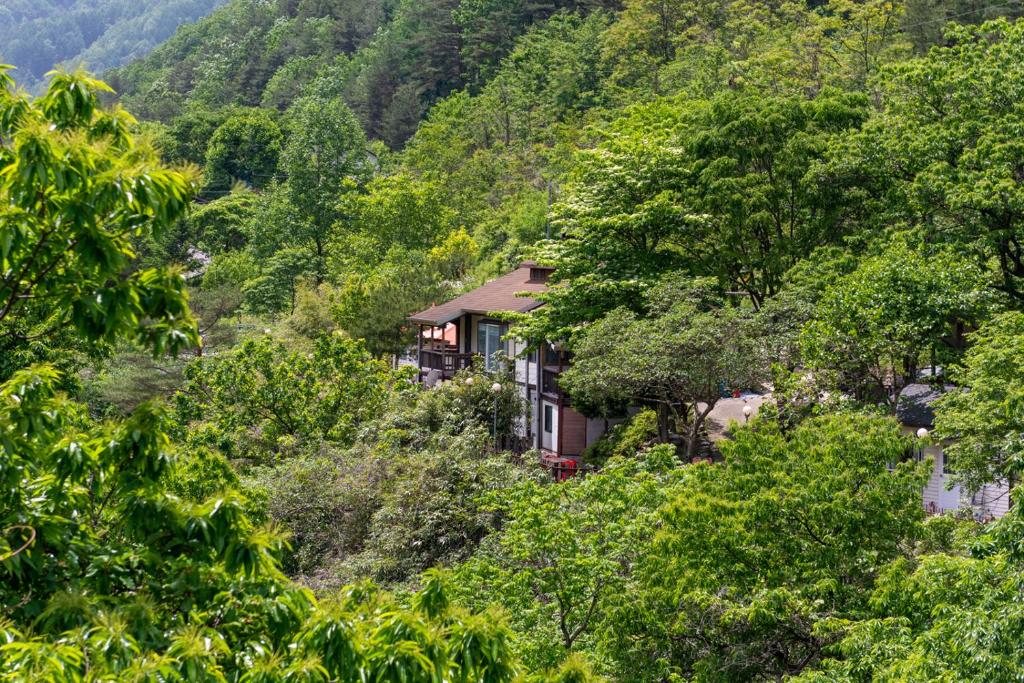 Dasanbang Pension - Maison D'une Chambre