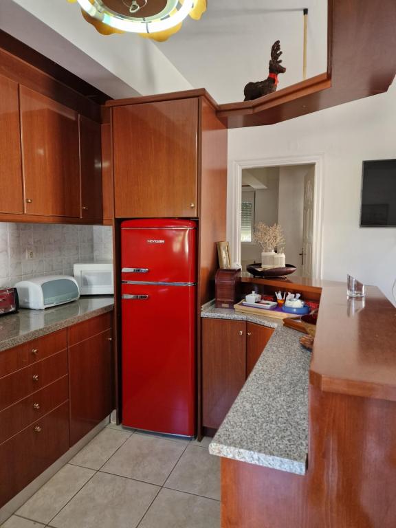 A kitchen or kitchenette at Maria's Apartments