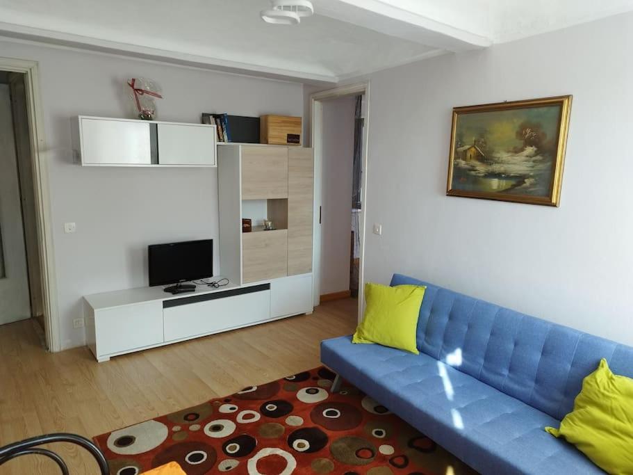 een woonkamer met een blauwe bank en een televisie bij Il nido di Simone in Castagnito