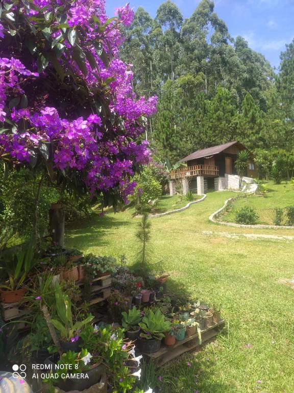 un jardín con flores y una casa de fondo en Vila Sol Cabana en Lontras