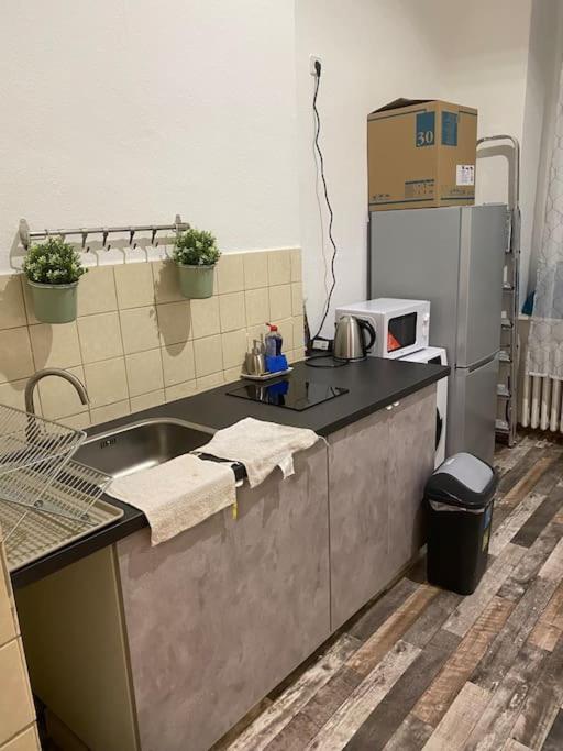 een keuken met een wastafel en een koelkast bij Căn hộ có đầy đủ tiện nghi in Berlijn