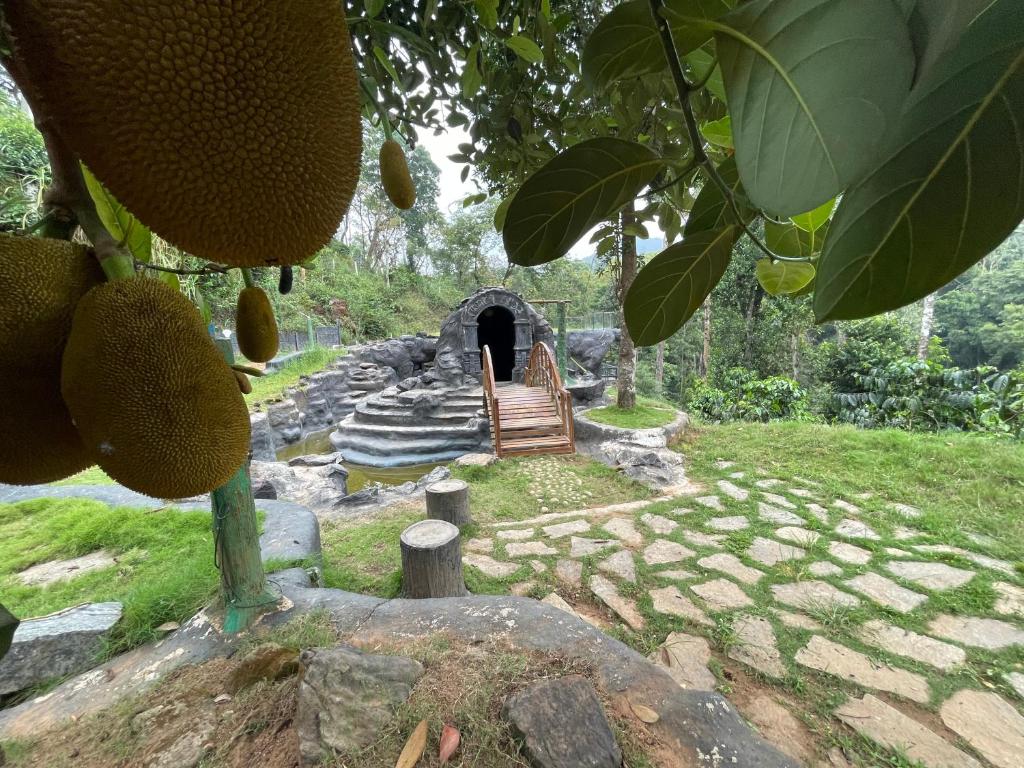Zahrada ubytování Rai’s Coorg Cave House