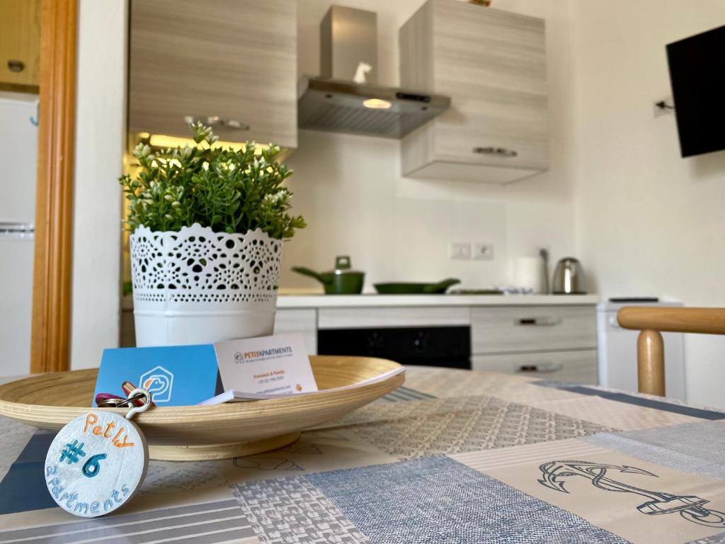 A kitchen or kitchenette at PetlyApartments