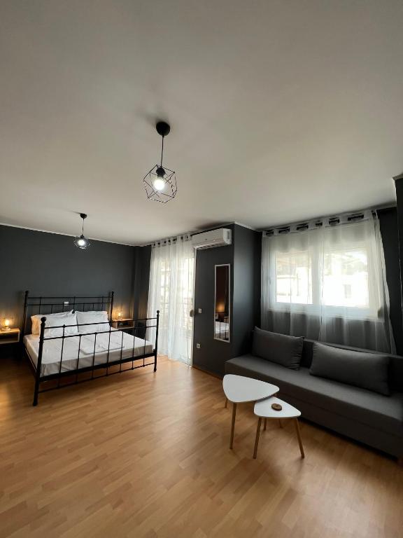 Vasiliki Apartments - Appartamento Deluxe