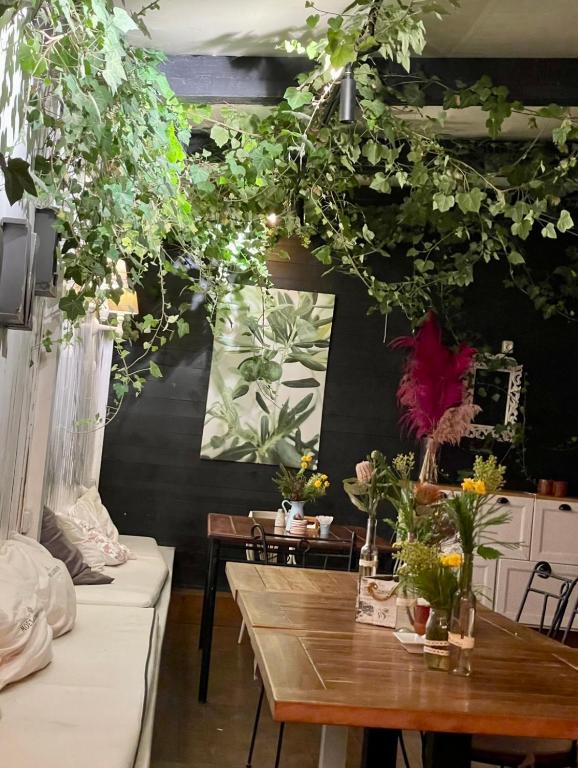 Hotel Vanilla - Resim 29