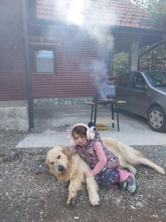 Kućni ljubimac ili ljubimci koji borave u objektu Vila MINA