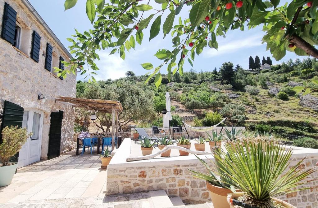 a view of a house with a patio with plants at Agave in Veliko Grablje