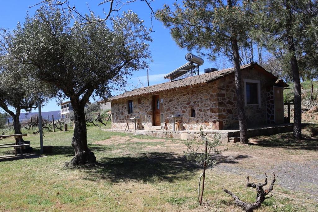 una vecchia casa in pietra con alberi di fronte di Casa Cabeço do Barragão a Fundão