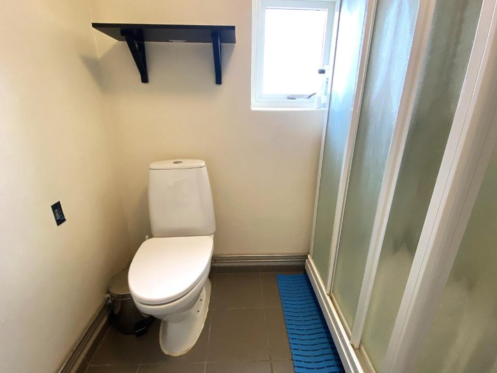 a small bathroom with a toilet and a window at Thorbrandsstadir Farm Holidays in Þorbrandsstaðir