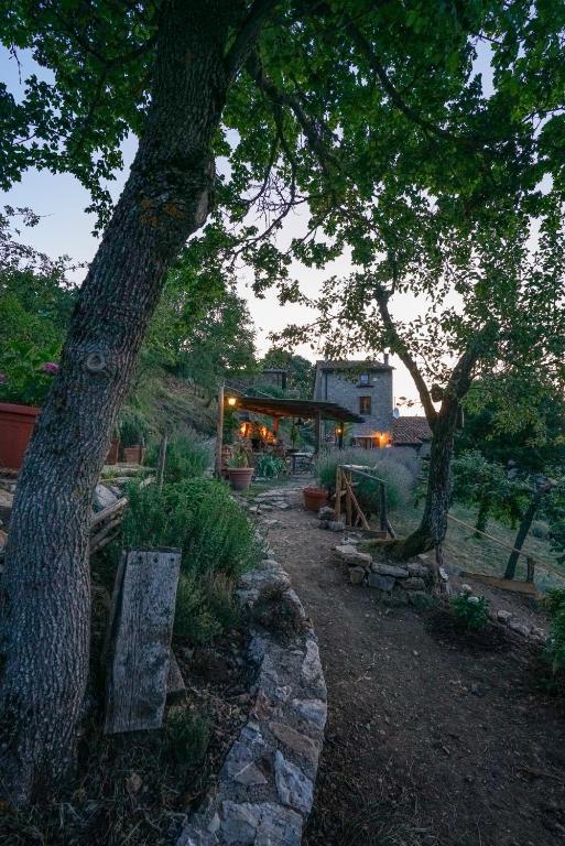 Zahrada ubytování Agriturismo La Colombella