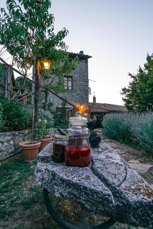 Zahrada ubytování Agriturismo La Colombella