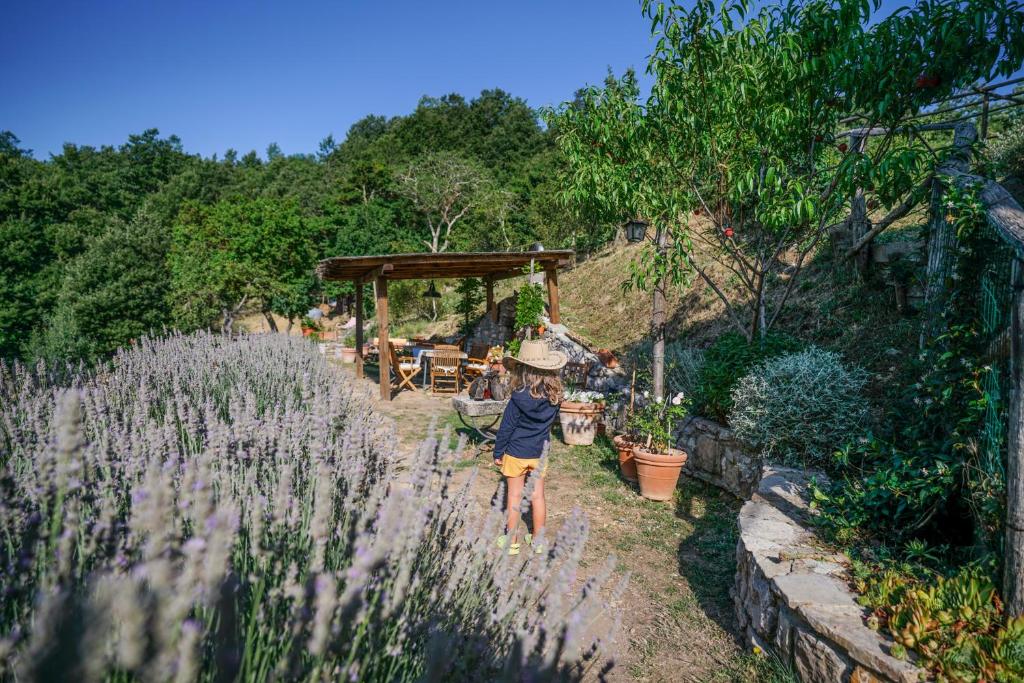 Zahrada ubytování Agriturismo La Colombella