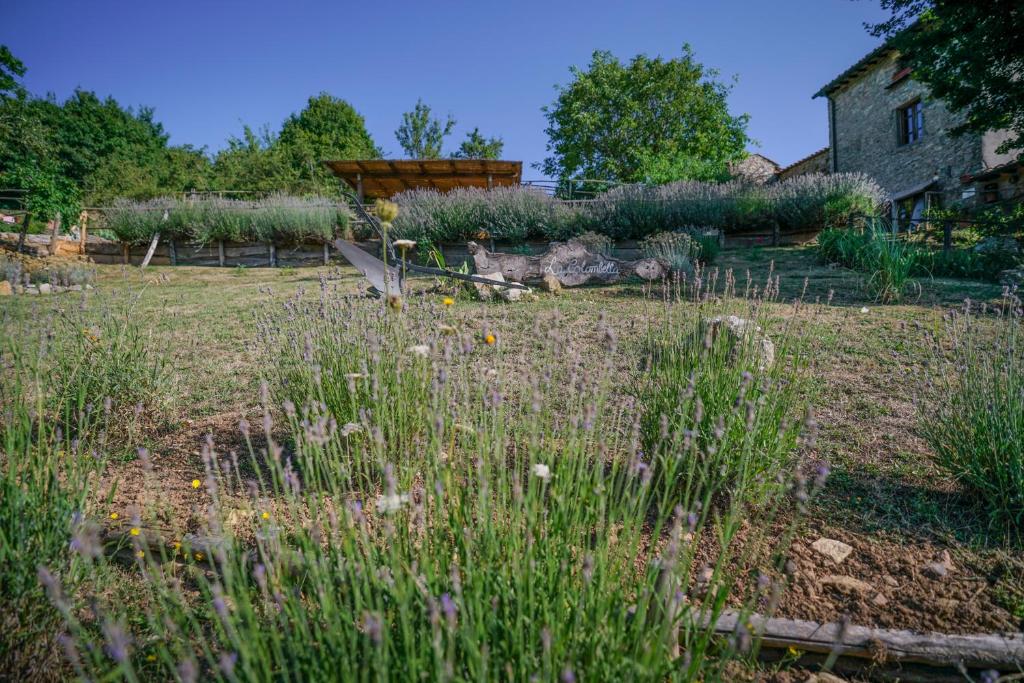 Zahrada ubytování Agriturismo La Colombella