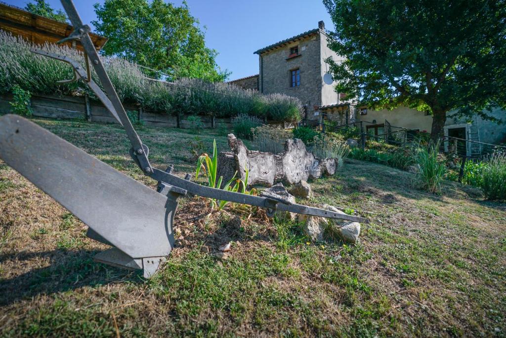 Zahrada ubytování Agriturismo La Colombella