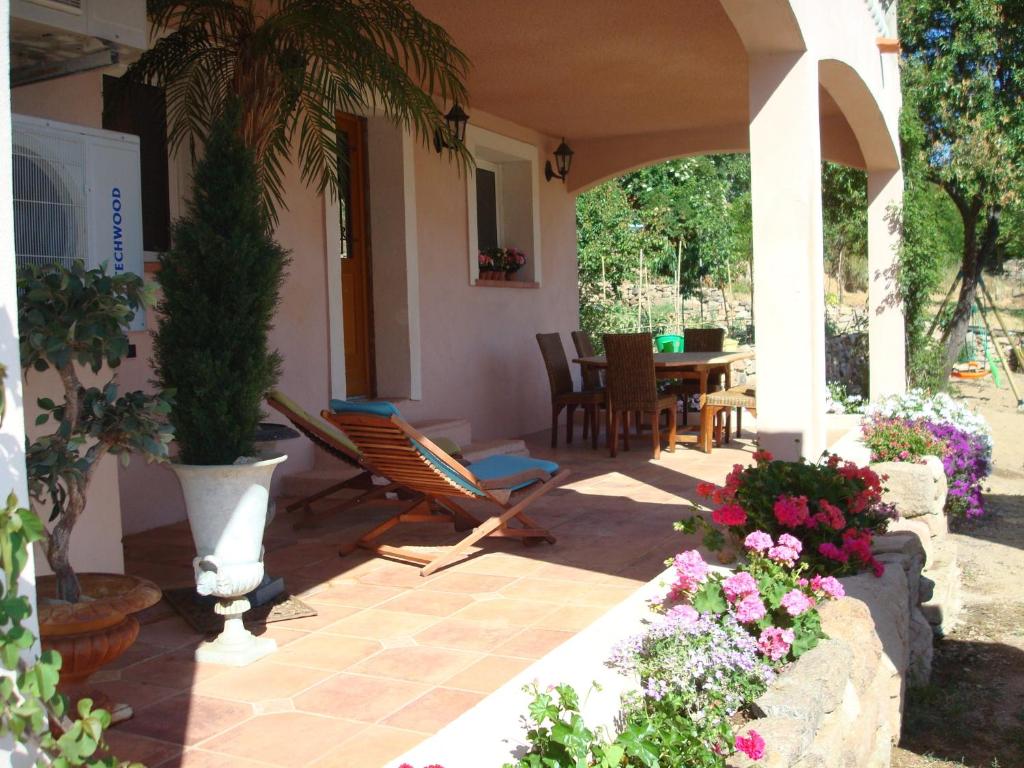 a patio with a palm tree and chairs and flowers at Appartement Appietto in Appietto