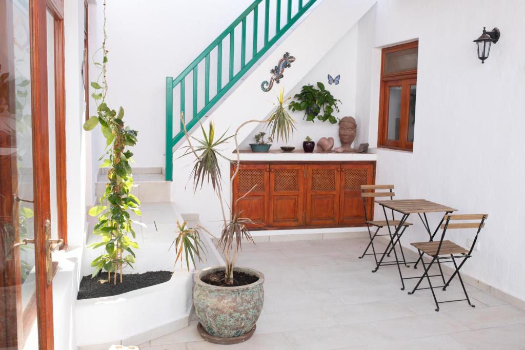una habitación con una mesa y algunas plantas en ella en Casa Carmen en Haría