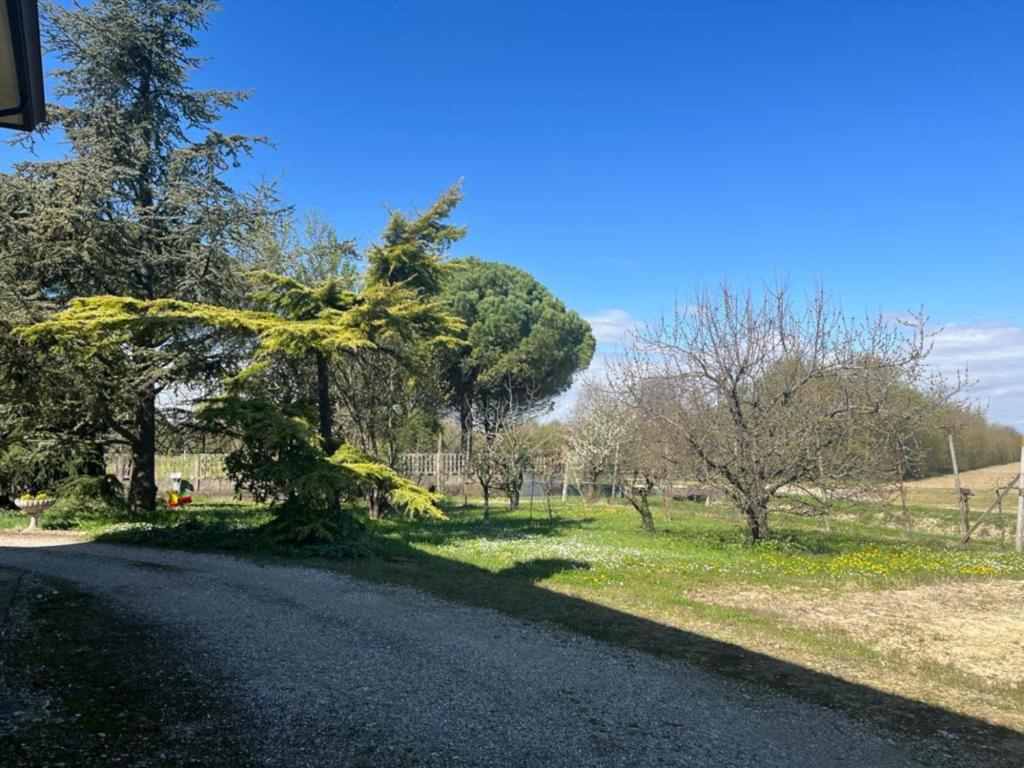 Zahrada ubytování B&B Airport Venice Diego 2