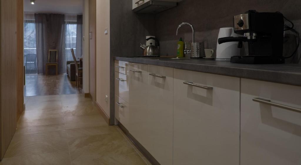Kuchyňa alebo kuchynka v ubytovaní Apartament Wiślany Sen