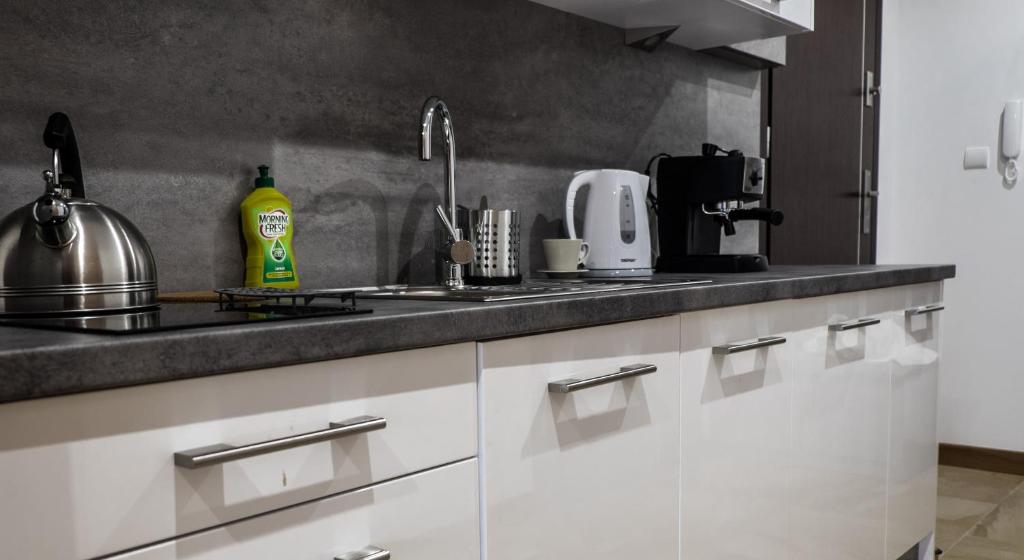Kuchyňa alebo kuchynka v ubytovaní Apartament Wiślany Sen