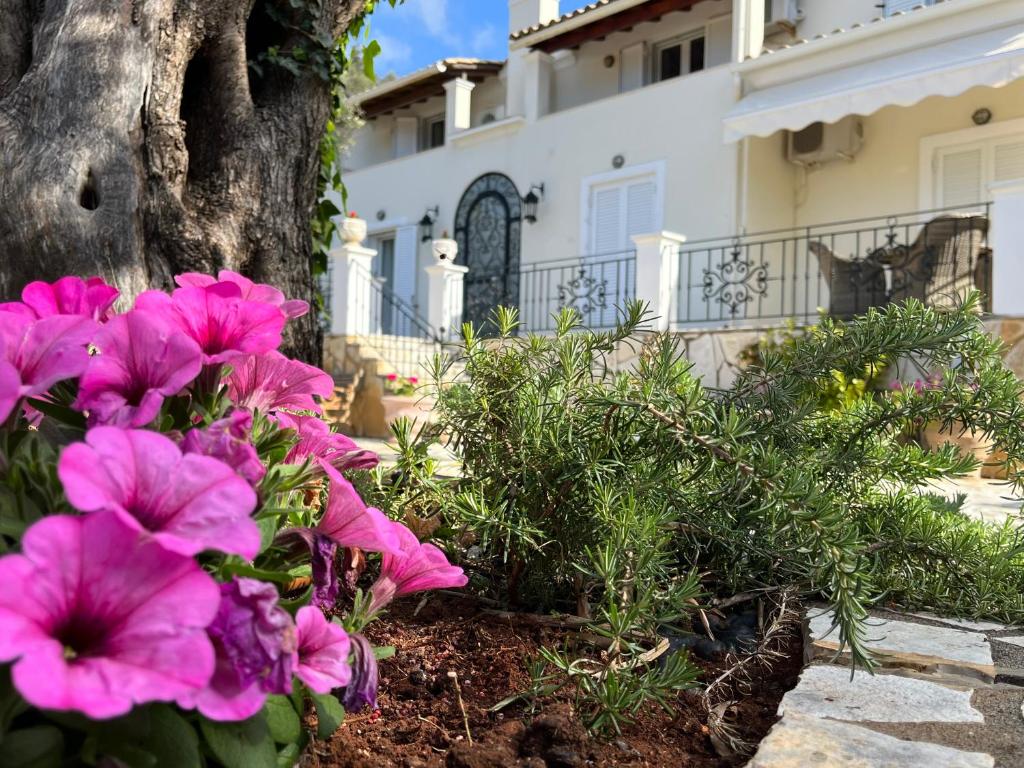 a bunch of pink flowers in front of a tree at Villa Ampelaki 2 in Paleokastritsa