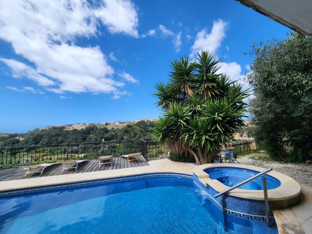 una piscina con vista su una palma di Pool and Fun in Gozo, Great place to relax and enjoy nature a Għajn il-Kbira