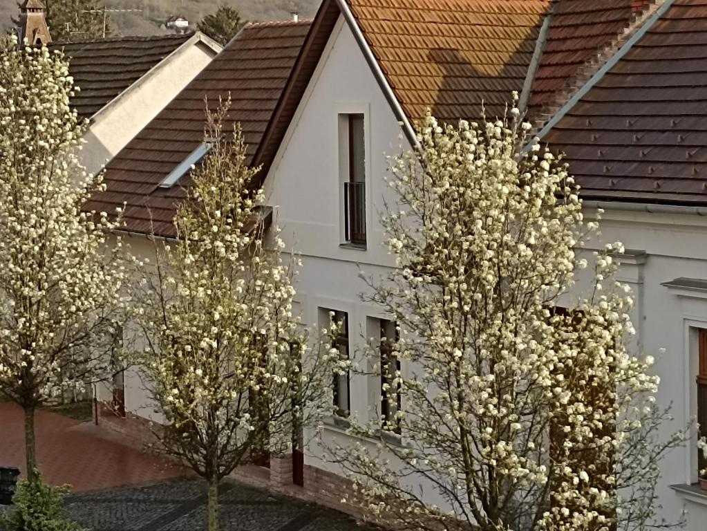 Budova, kde se penzion nachází