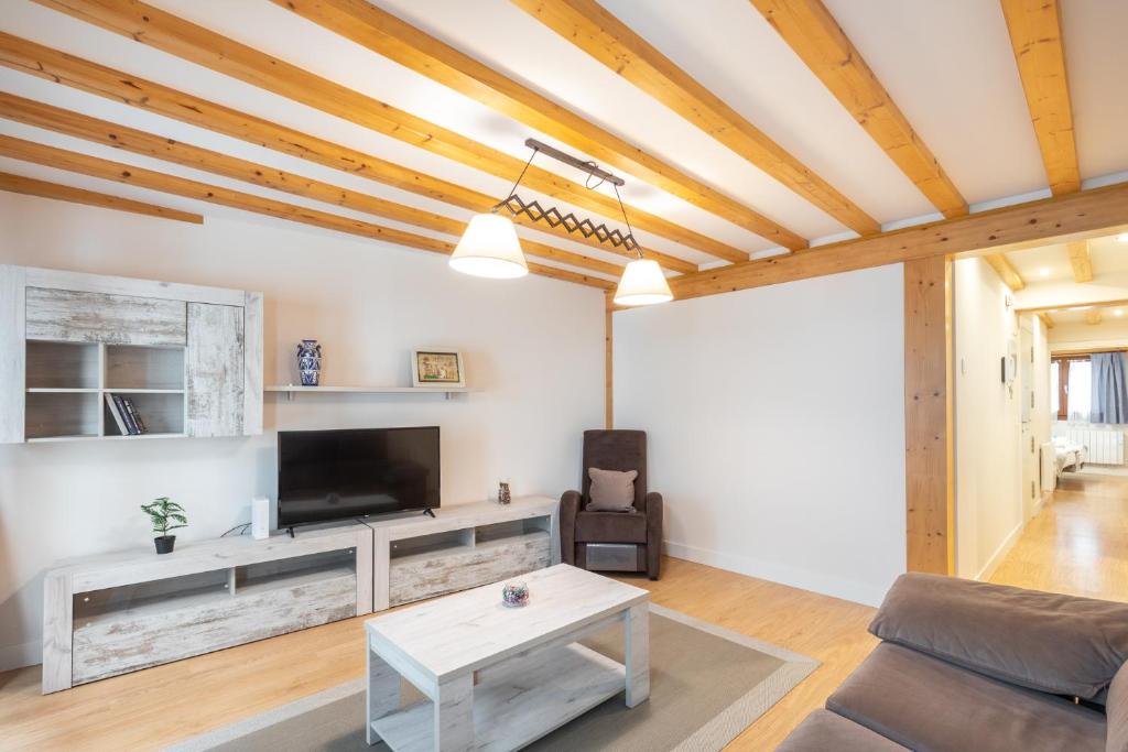 TV a/nebo společenská místnost v ubytování Gamarra - baskeyrentals