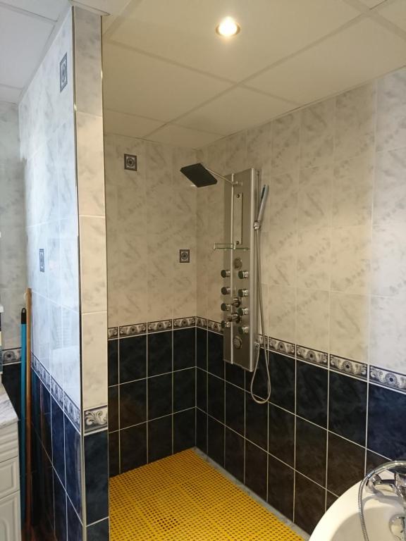 a shower with a glass door in a bathroom at Au Coeur du Jura, Logement au calme in Champagnole