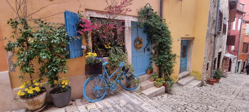 Casa 39 Apartments في روفينج: دراجة زرقاء متوقفة أمام مبنى به زهور
