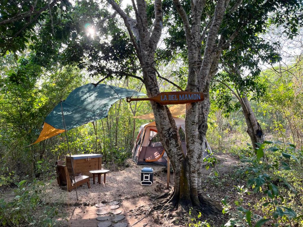Camping en Barú Cartagena Bolivar 