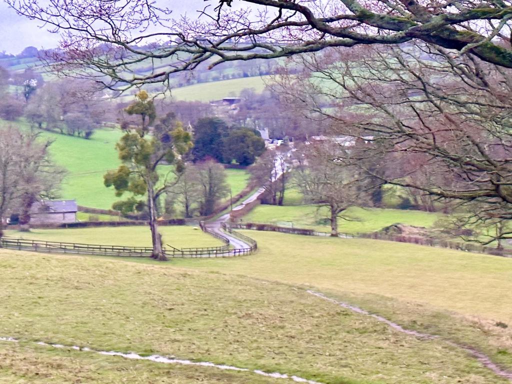 a view of a field with trees and a fence at 4 beautiful stone built barns sleeping 17 people in Llangwm-isaf