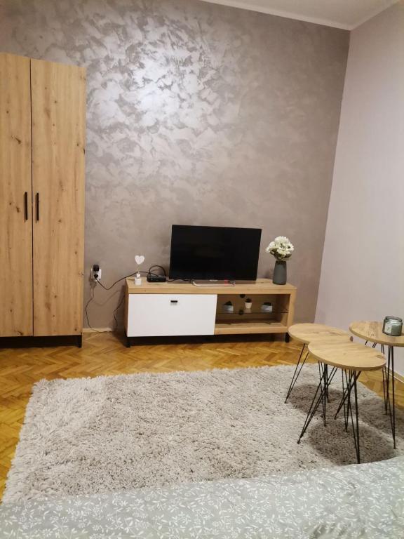 a living room with a flat screen tv on a cabinet at Apartman Petrov in Pančevo