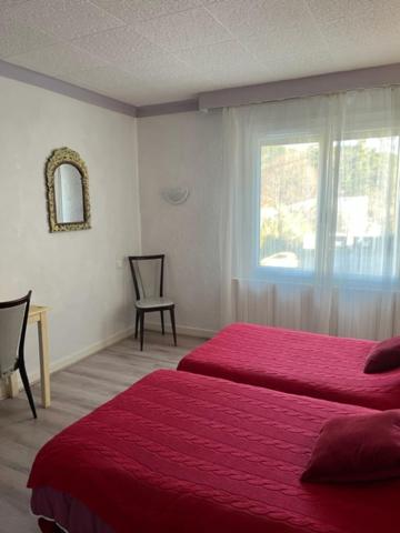 1 Schlafzimmer mit 2 Betten und einem Fenster in der Unterkunft Attrap'Rêves in Aspres-sur-Buëch