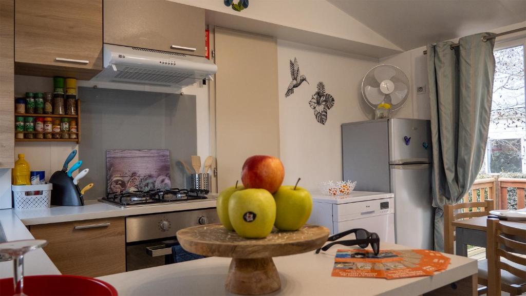 Kuchyň nebo kuchyňský kout v ubytování MOBILHOME Familial