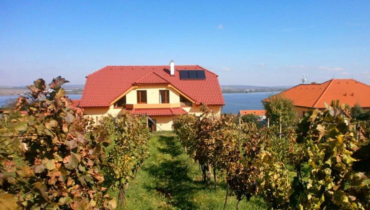 a house with a red roof and a row of trees at Ubytování Pálavská Riviéra in Pavlov