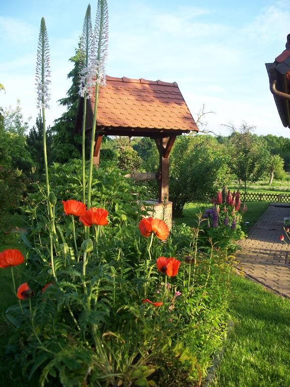 Zahrada ubytování Ferienwohnung zur Saaleaue